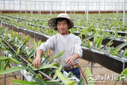 砚山县 扶贫车间村头建 致富曙光初始现