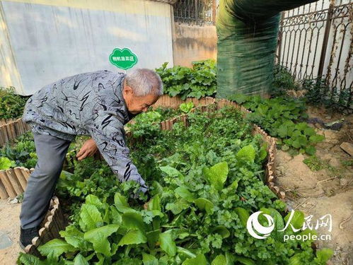 组图 共享苗圃长出文明 果实